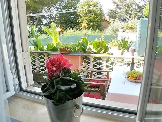 Villa D Apartments Marino